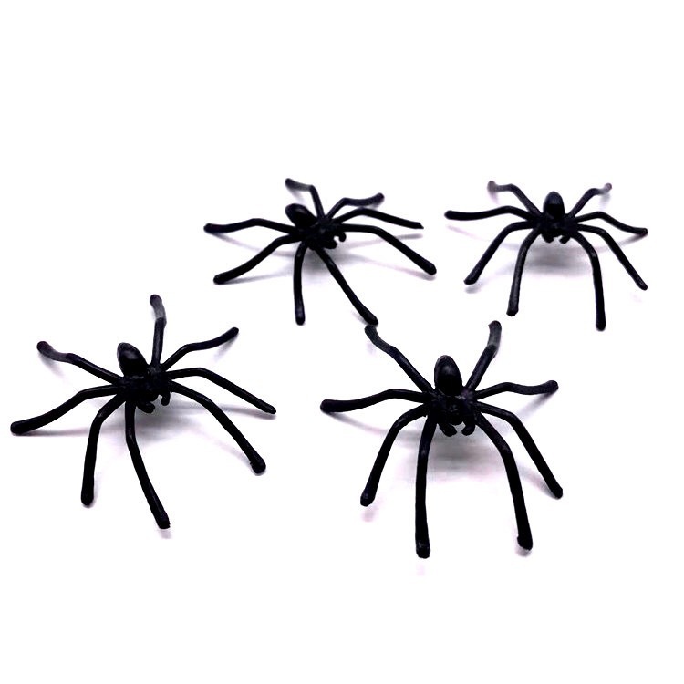 IMG_7183(20210714-073019)