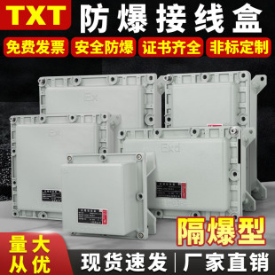 BXJ explosion-proof distribution box explosion-proof air lighting power maintenance switch cabinet control power instrument socket junction box