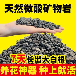 ΢��V�����w�����B��Сʯ����������Ȼ��ɽʯ΢Ԫ�صV������