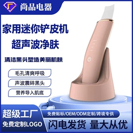 面罩美容仪;电吹风;电子美容仪