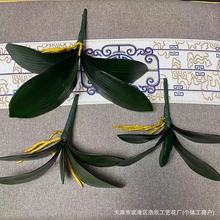 �ٻ�EVA�ָк����m�~�ӄ���DIY��Ʒ�廨�������ֲ������Gֲ���l