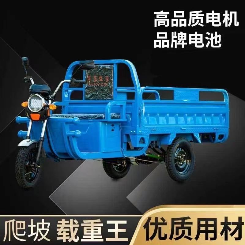电动三轮车新款山区货车拉货载重爬坡农用国标电瓶车快递摆摊货运|undefined