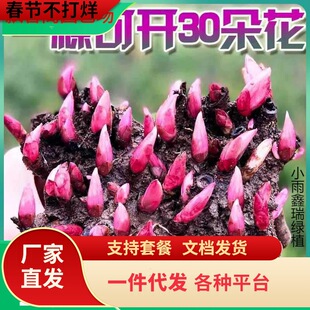 һ�����l�ذ���ș���玧ѿ���K7��10ѿ�N���ͺ��������̨ͥԺ��