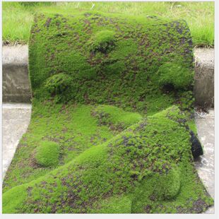 ��������̦�\��Ƥֲëp��̦�K��ƺ��̺΢���^�b��ܷ�����̦��