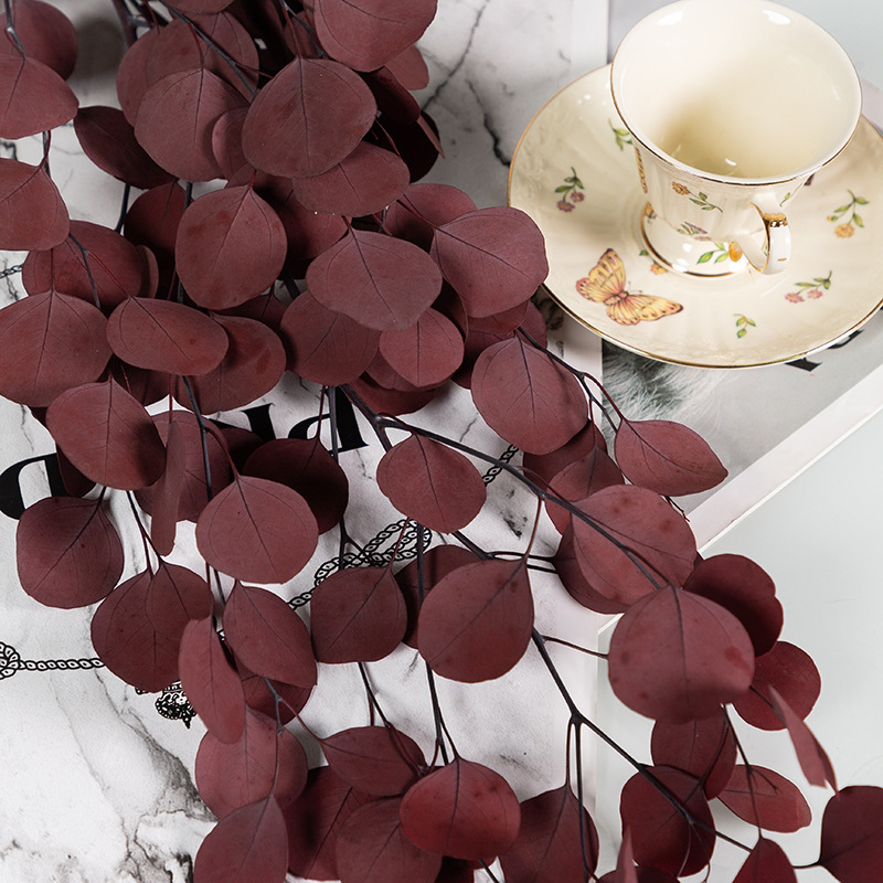 사과 잎 빨강 100g