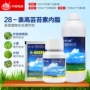 植物调节生长yd120内酯