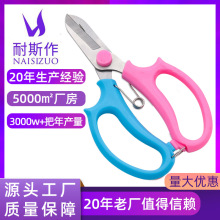 P䓈@ֈ@ˇ pɫֱ֦ @ˇ@r