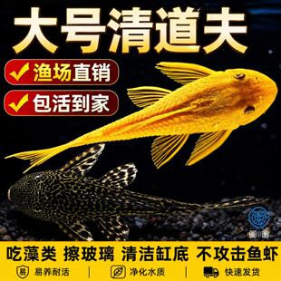 �~��������坍�����匣��ʺ�����S����������D�Ꭷ��ˮ�^�p�~