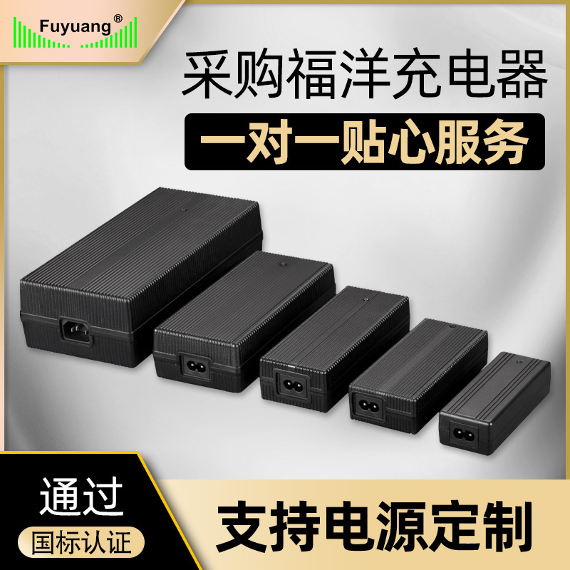 Customized 54.6V 5.5A 13-Section Polymer Lithium Battery Charger for Surfboard