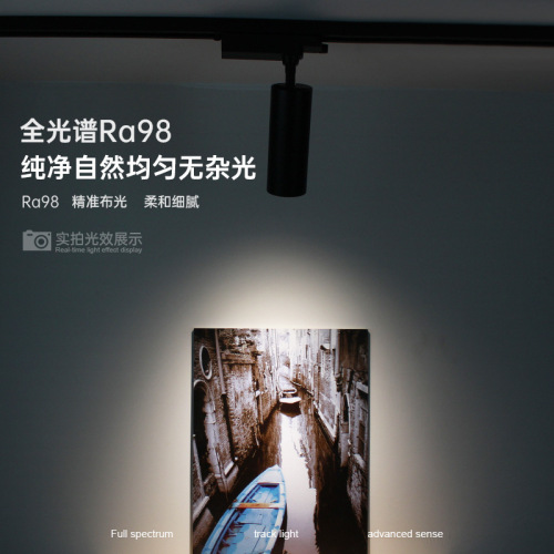 LED track spotlight commercial wholesale clothing store full spectrum 98 high display wall washing home small hill guide track spotlight
