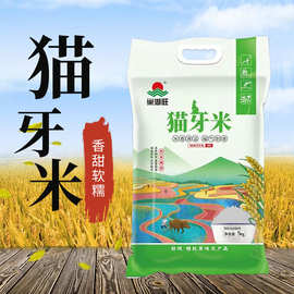 【巢湖旺】5kg新鲜猫牙米长粒香米煲仔饭炒饭米饭丝苗米厂家直营
