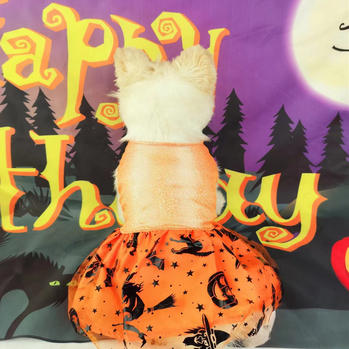 微信图片_20230711154946