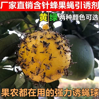 诱蝇球果园种植粘虫球果实蝇针蜂黏虫球大实蝇柑橘柠檬实蝇防治