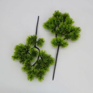 �������������45��ӭ���ɾGֲ�������ֲ���°��ɘ�֦�٘�֦�b�