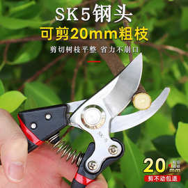 sk5超强省力修枝树枝大号果树剪粗枝剪家用园林剪强力花木省力剪