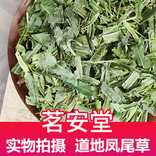 lșɢb500gPβ F؛r؛u u_