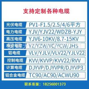 ������|YJV BV RVV KVV YJY PV1-F 늾���|���ˏS�ҬF؛�����