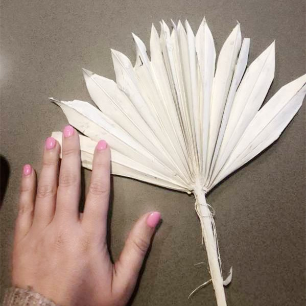 관음 팬 화이트