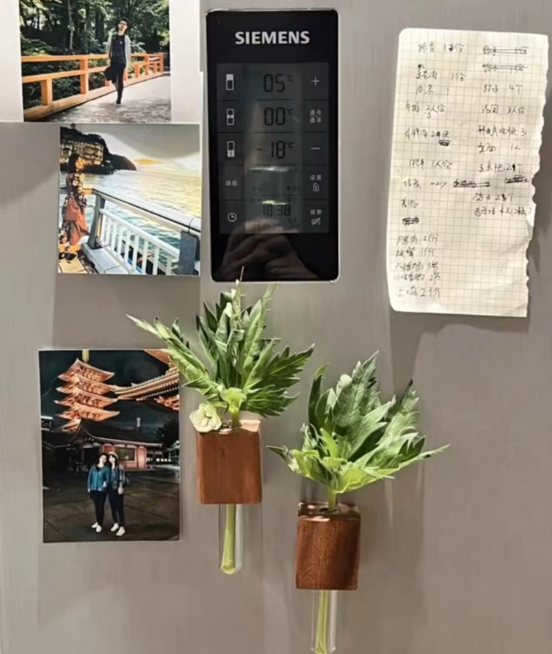 인기 호두 + 유리관 [꽃 제외]