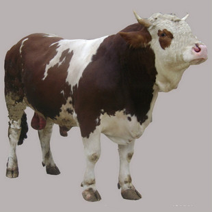 ţ�r�� ��ţ�Bֳ ���������SţСţ�����Xһ�^