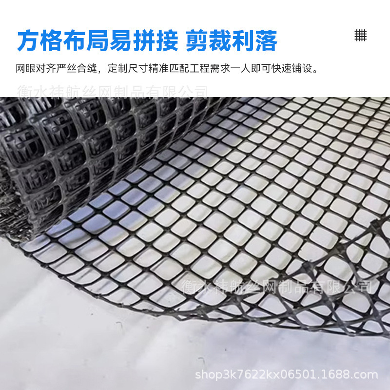 养殖网围栏网养鸡养鸭鱼塘防护网黑色方格土工格栅圈玉米塑料网格|undefined