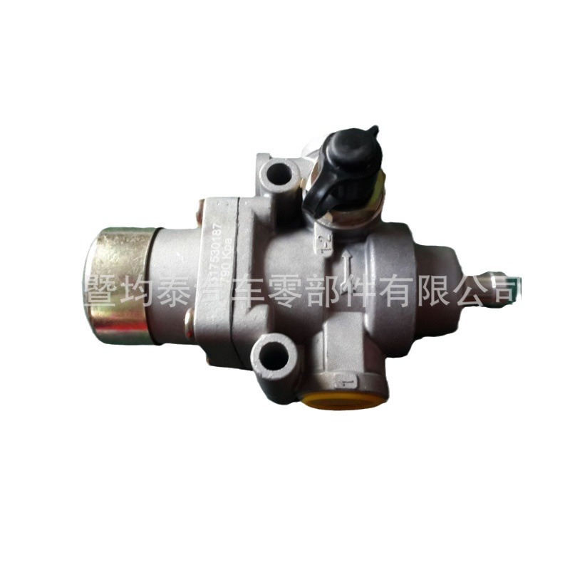 El Autobús Europeo de descarga del camión pesado de la válvula 317530187 parte SMT