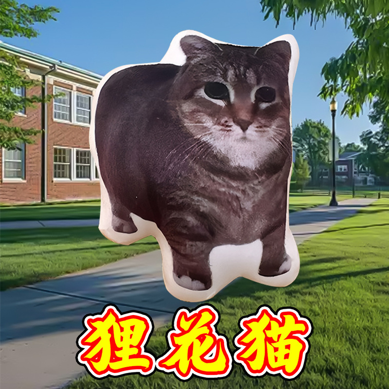 oiiaioooooiai猫表情包语音挂件小猫发声玩偶搞笑宠物解压钥匙扣|undefined