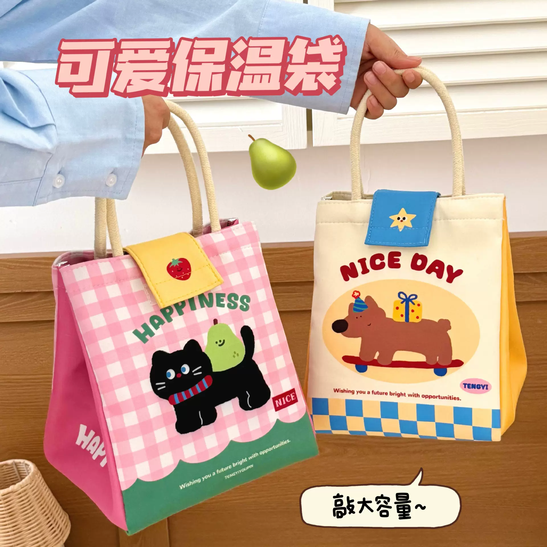 腾亿原创可爱饭盒袋秋冬季保温便当包创意手提包学生办公便携餐包