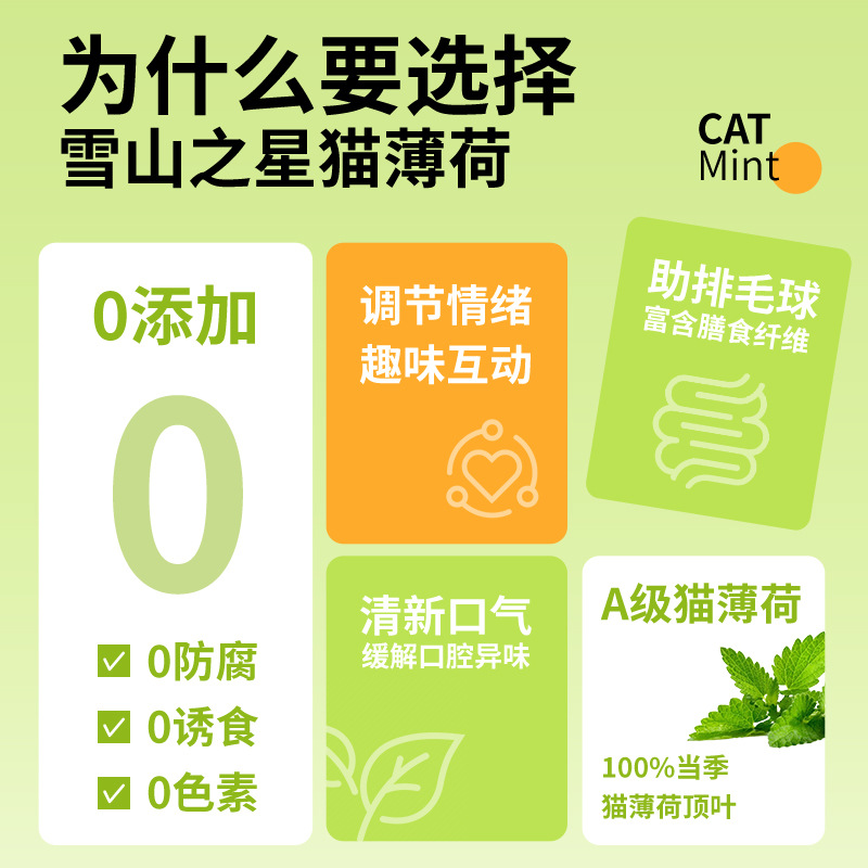 Hoja de polvo de menta gatera Aperitivos para gatos Galletas para gatos embotelladas Bolas desplumadas comestibles Limpiar la boca Cachornia para gatos