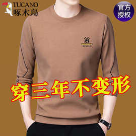 啄木鸟德绒卫衣男秋冬季圆领男士长袖t恤男款休闲打底衫上衣潮流T