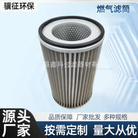 天然气滤芯净化厂燃气液输送管道过滤器滤芯玻璃纤维燃气滤筒