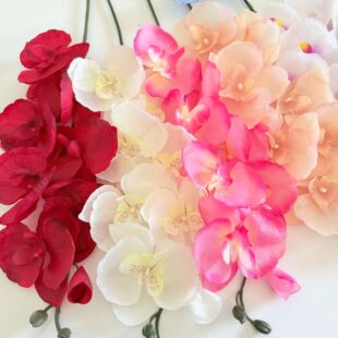 8�^�����m���滨��c��Y���ı���·���廨�쾰�bo�����ٻ�