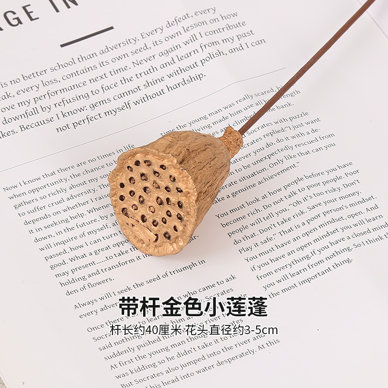 막대가 달린 황금 연꽃