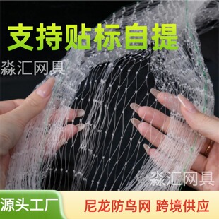 ���@���B�W�m��춙�����������r�I�ͼ�ͥ������B����ϵđ���W