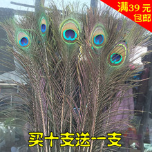 ���۾����ȸ��ë��β DIY��ˇ�Ҿӻ�ƿ�b�Ʒ�[�O