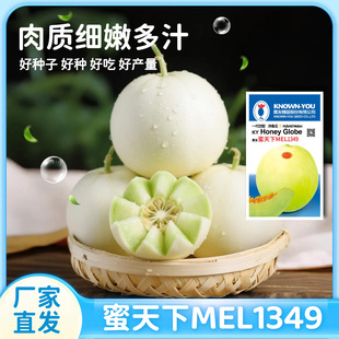 �r������������ϷN��һ������������ͱ�Ƥ����ɫ�����M��100��