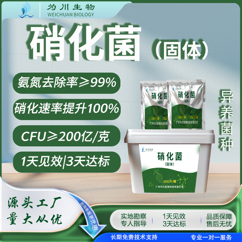 污水处理菌种氨氮去除硝化菌好氧菌好氧池曝气池异养硝化菌固体