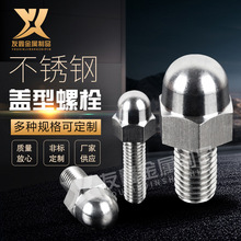 �S�ҹ������P��w����˨�ݽz��ñ���w�w����˨�b��֔Q�w����˨