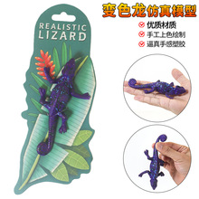 ������zܛ�z׃ɫ�����ģ���w�������Є������_�߱ڻ���ͯ�Y��