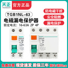 TGB1NL-63ʽС©·2P 4P뿪ش©籣 63A