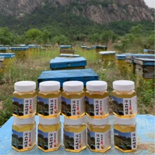 ����ɽҰɽ������    228g    JJ�ٻ����Ї���ꑰ��b��������