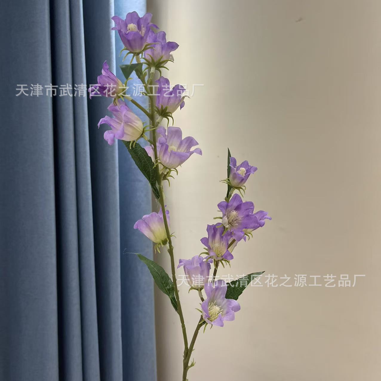 연한 보라색