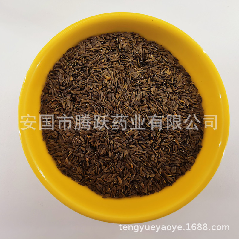 Lettuce Seed Sheng Cai Zi 生菜子 Dried Raw Herb for Decoction 500g Bag quality and texture