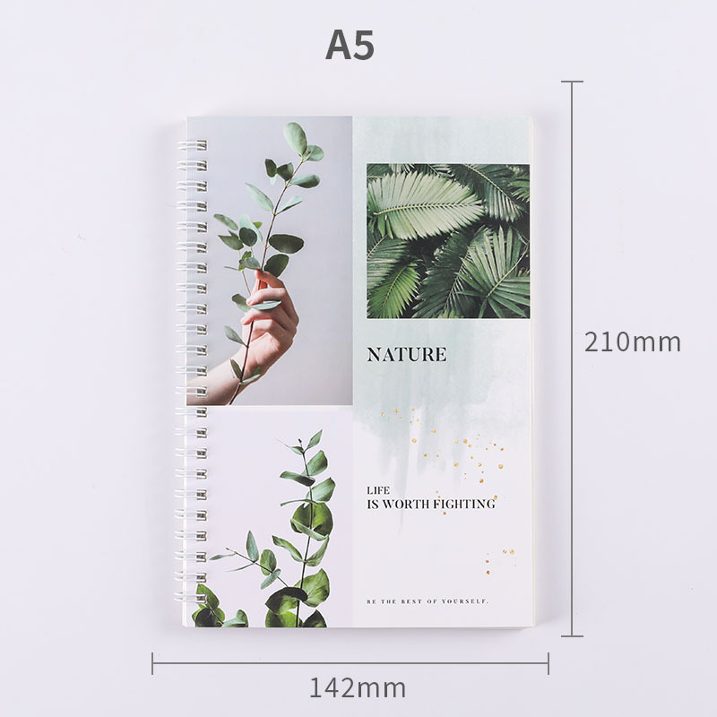 Libro de hojas sueltas fresco y fresco al por mayor