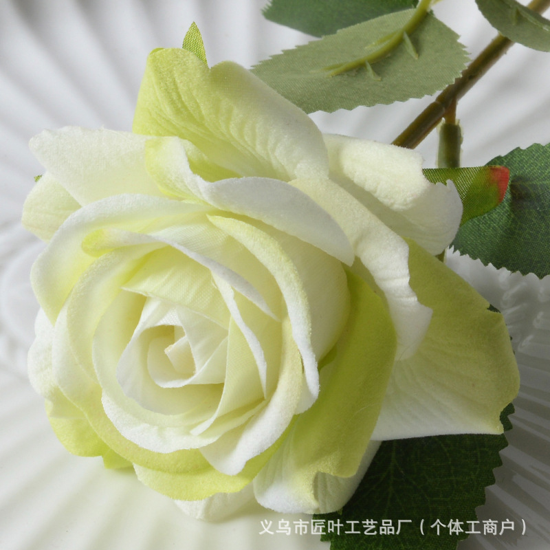 엘사 로즈 그린