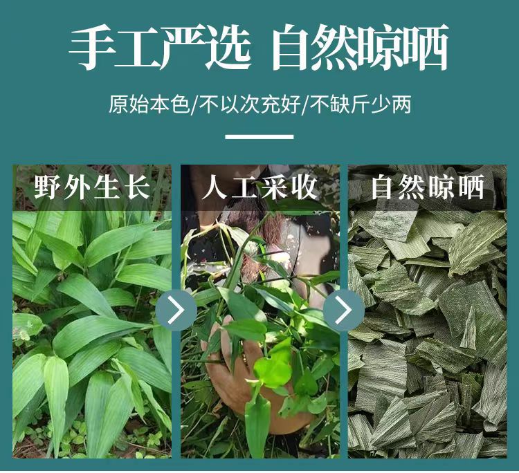 Dan Zhu Ye (Lophatherum gracile) — Dried Bamboo Leaf Herb for Tea & Decoction key features