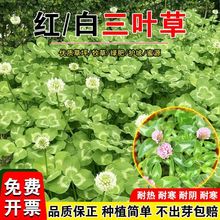 �����~�N���͟�t�����~�����ͺ��ļ������@�־G���o�¾G������