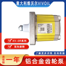 Vivoil vivolo pump X2P4702EOOA X2P4902EOOA X2P5102EOOA