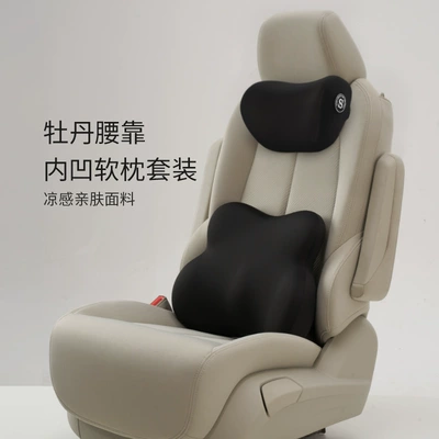 Headrest Driver's Seat Lumbar Support - mysterious-black-headrest-lumbar-support-set