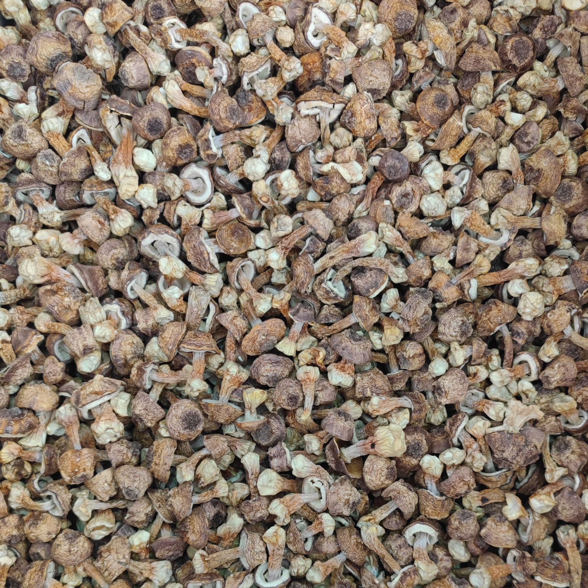 b7d626c14bde7d560c7ef6e79c371c